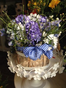 Shabby (46)