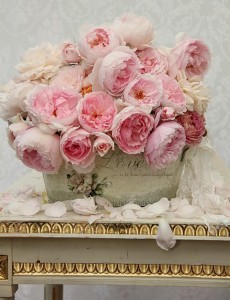 vaso rose shabby  